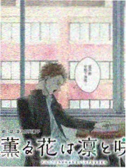 露天放映夜详情海报，露天幕布与场灯